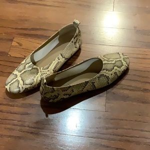 Everlane Leather Flats
